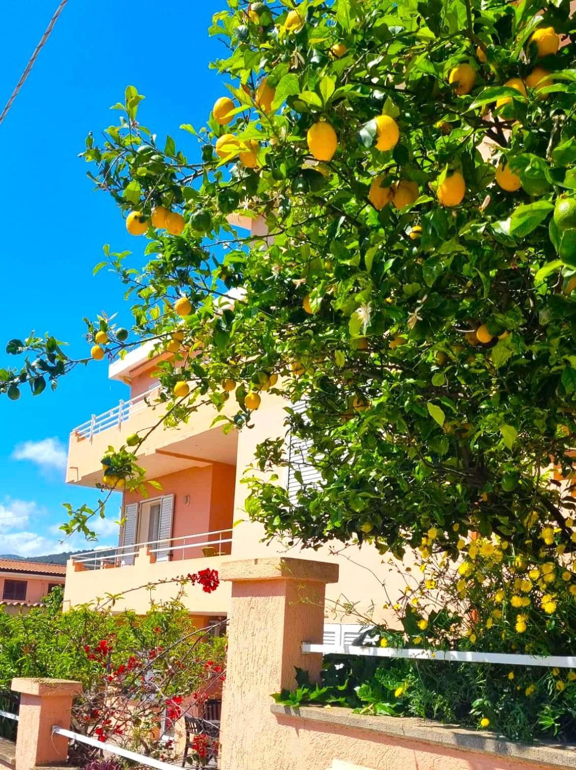 Casa Vacanze Mura Cala Gonone Extérieur photo